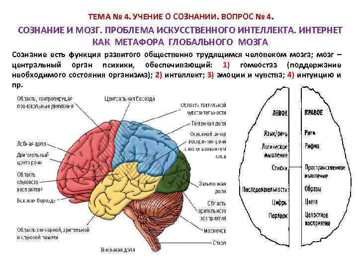 Картинка сознание и мозг