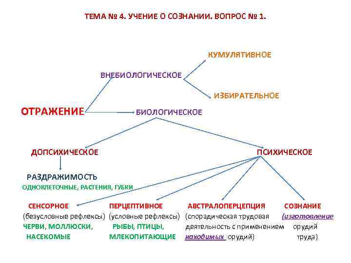 Сознание вопросы