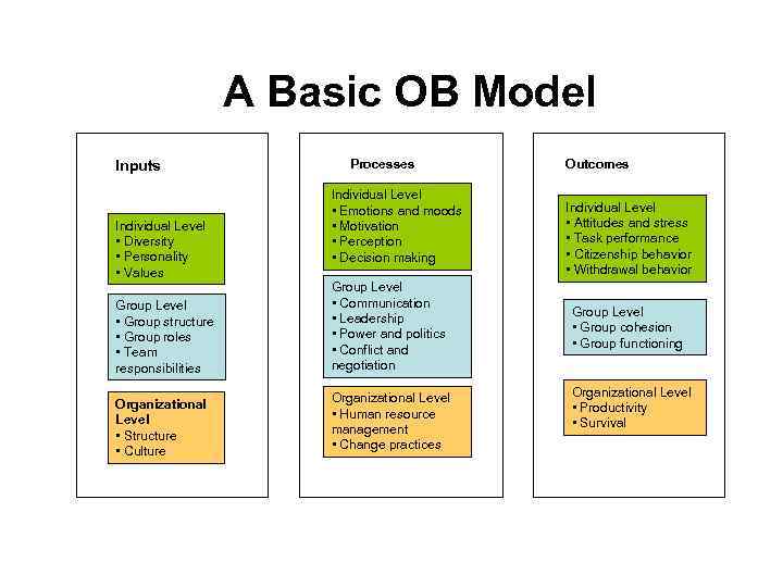 A Basic OB Model Inputs Individual Level • Diversity • Personality • Values Processes