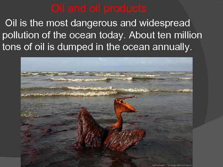 Oil and oil products Oil is the most dangerous and widespread pollution of the