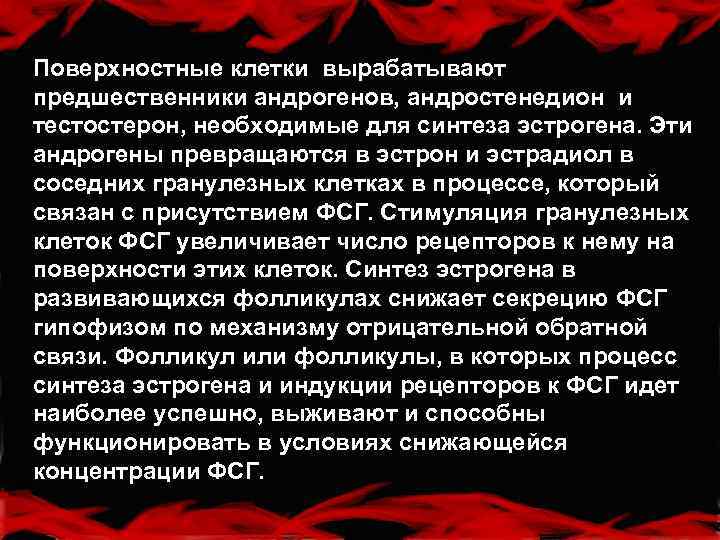 Поверхностные клетки вырабатывают предшественники андрогенов, андростенедион и тестостерон, необходимые для синтеза эстрогена. Эти андрогены