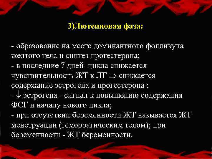 3)Лютеиновая фаза: - образование на месте доминантного фолликула желтого тела и синтез прогестерона; -