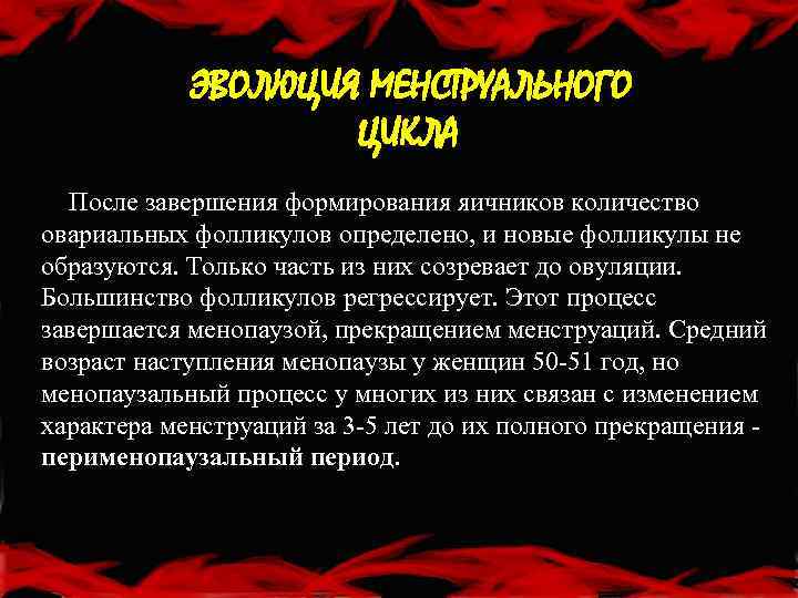 ЭВОЛЮЦИЯ МЕНСТРУАЛЬНОГО ЦИКЛА После завершения формирования яичников количество овариальных фолликулов определено, и новые фолликулы