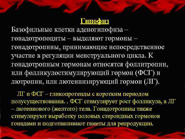 Гипофиз Базофильные клетки аденогипофиза – гонадотропоциты – выделяют гормоны – гонадотропины, принимающие непосредственное участие