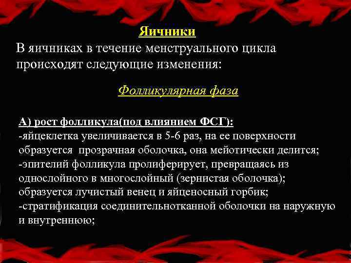 Яичники В яичниках в течение менструального цикла происходят следующие изменения: Фолликулярная фаза А) рост