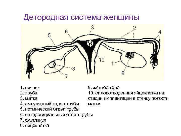 Операции матки и трубы