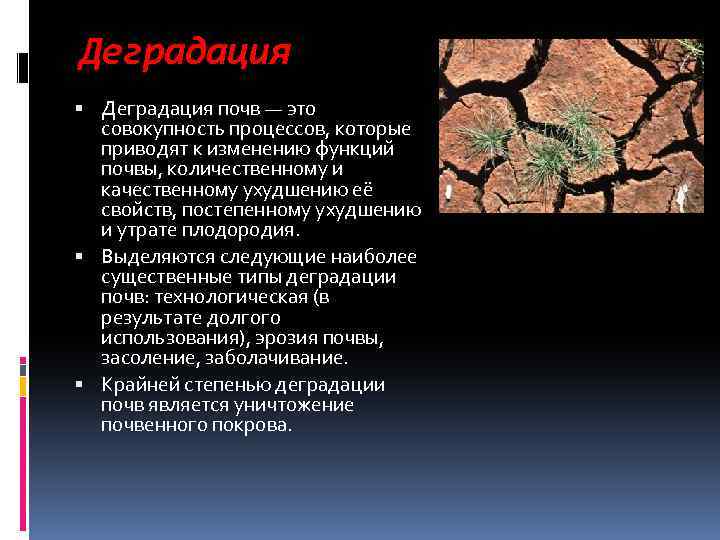 Деградация почв — это совокупность процессов, которые приводят к изменению функций почвы, количественному и