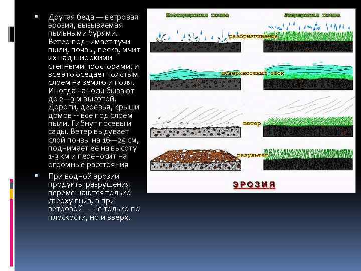  Другая беда — ветровая эрозия, вызываемая пыльными бурями. Ветер поднимает тучи пыли, почвы,