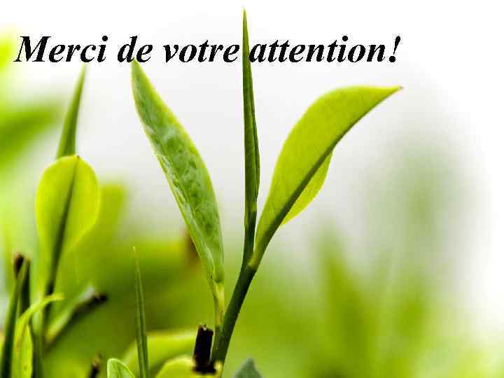 Merci de votre attention! 