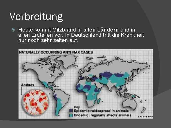 Verbreitung Heute kommt Milzbrand in allen Ländern und in allen Erdteilen vor. In Deutschland