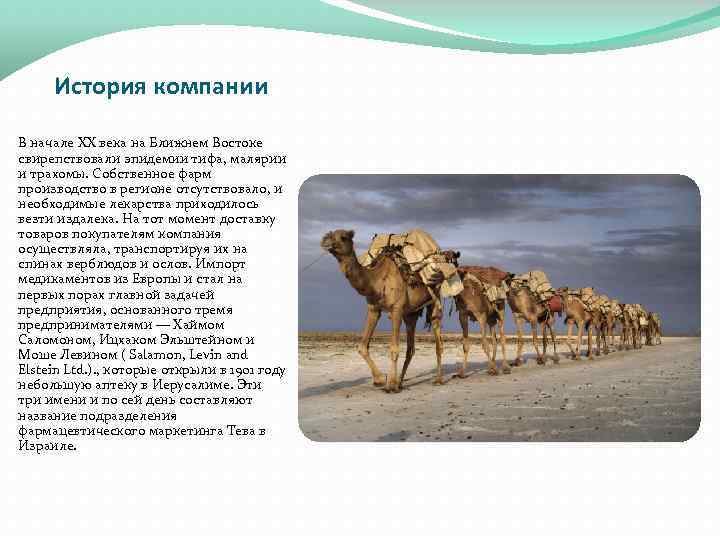 История компании В начале XX века на Ближнем Востоке свирепствовали эпидемии тифа, малярии и