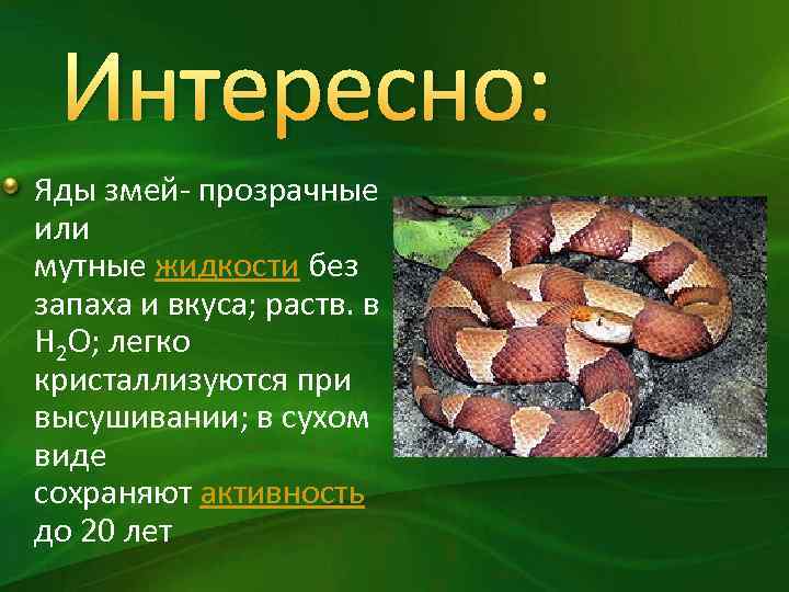 Яд в просроченных продуктах 6 букв