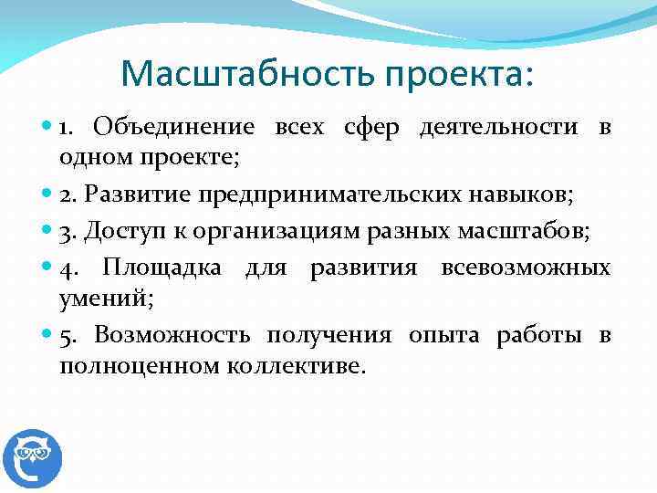 Масштабность проекта: 1. Объединение всех сфер деятельности в одном проекте; 2. Развитие предпринимательских навыков;