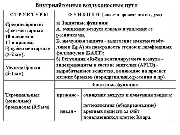 Внутрилёгочные воздухоносные пути С Т Р У К Т У Р Ы Ф У