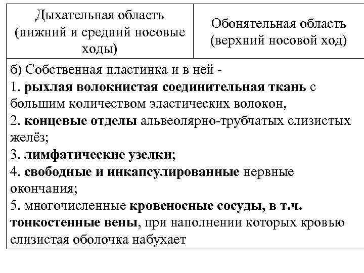 Дыхательная область Обонятельная область (нижний и средний носовые (верхний носовой ход) ходы) б) Собственная