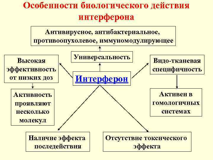 Схема действия интерферонов