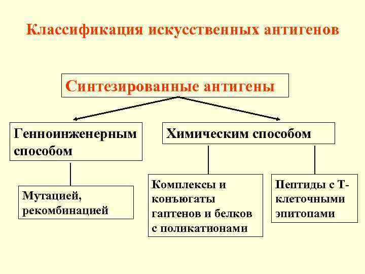 Классификация искусственных антигенов Синтезированные антигены Генноинженерным способом Мутацией, рекомбинацией Химическим способом Комплексы и конъюгаты