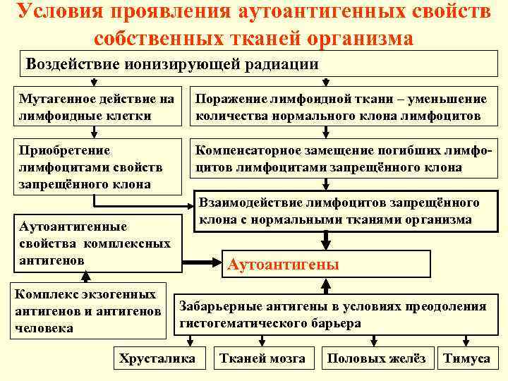 Проявить условие. Локализация патогенов и эффективные пути иммунной защиты. Стратегия иммунной защиты в зависимости от локализации патогена.