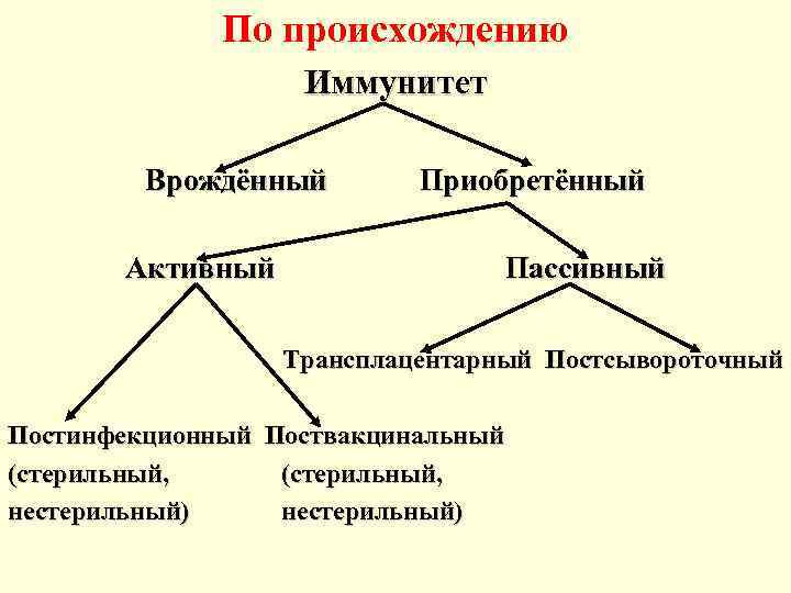 По происхождению Иммунитет Врождённый Приобретённый Активный Пассивный Трансплацентарный Постсывороточный Постинфекционный Поствакцинальный (стерильный, нестерильный) 