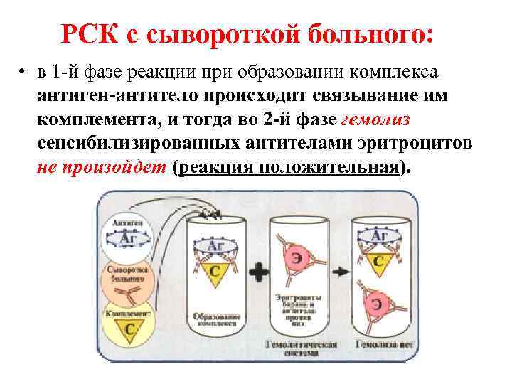 РСК с сывороткой больного: • в 1 -й фазе реакции при образовании комплекса антиген-антитело