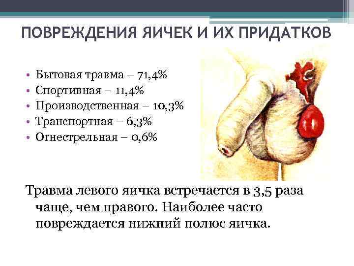 ПОВРЕЖДЕНИЯ ЯИЧЕК И ИХ ПРИДАТКОВ • • • Бытовая травма – 71, 4% Спортивная