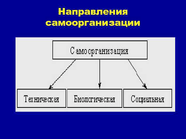 Направления самоорганизации 