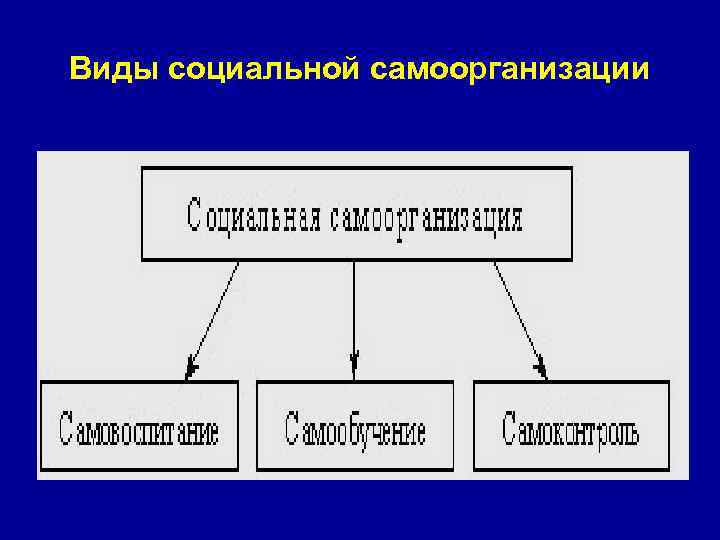 Виды социальной самоорганизации 