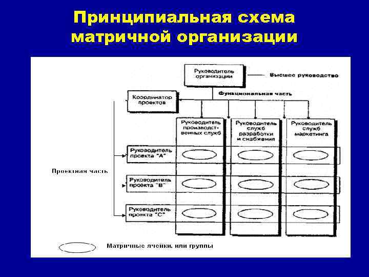 Принципиальная схема матричной организации 