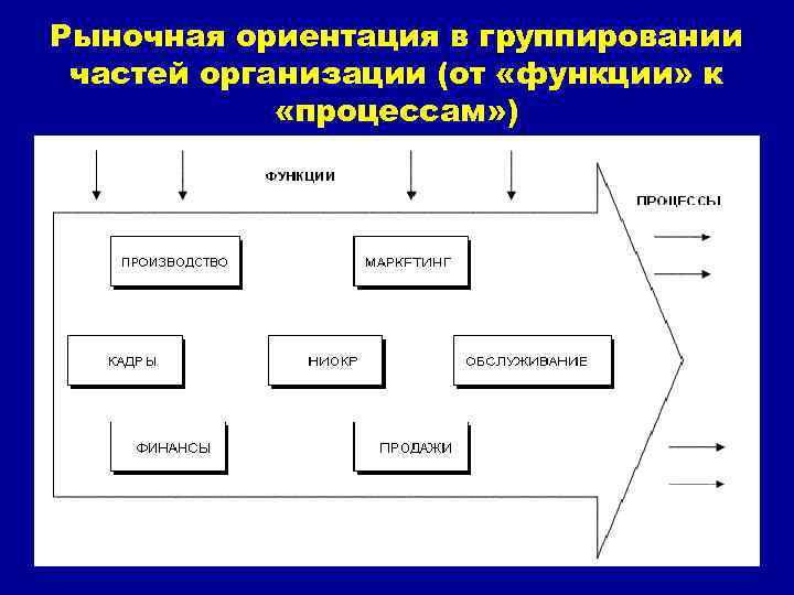 Рыночное ориентирование бизнес проекта