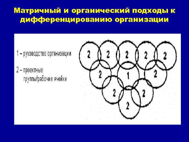 Матричный и органический подходы к дифференцированию организации 