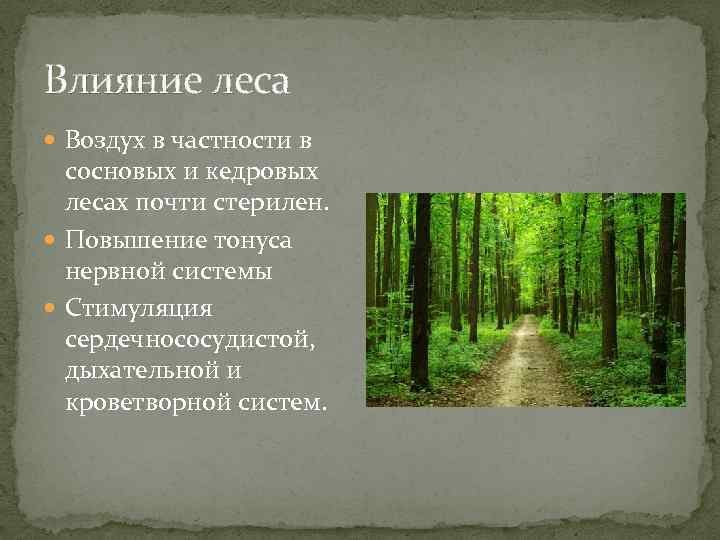 Влияние леса Воздух в частности в сосновых и кедровых лесах почти стерилен. Повышение тонуса
