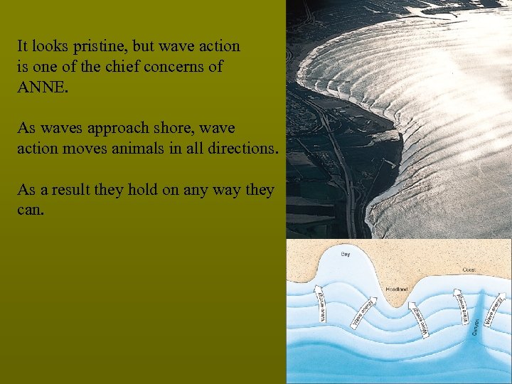 It looks pristine, but wave action is one of the chief concerns of ANNE.