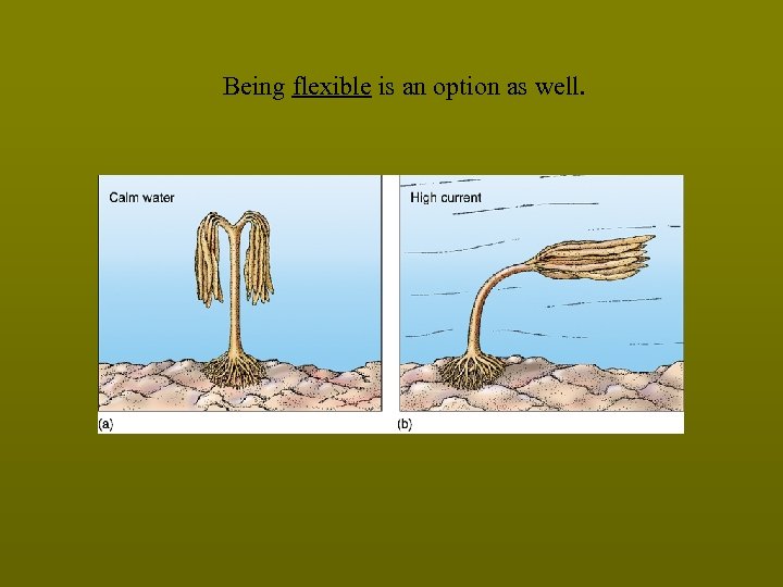 Being flexible is an option as well. 