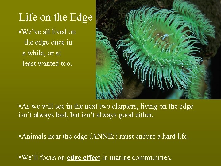 Life on the Edge • We’ve all lived on the edge once in a