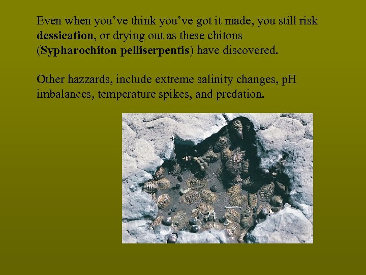 Even when you’ve think you’ve got it made, you still risk dessication, or drying