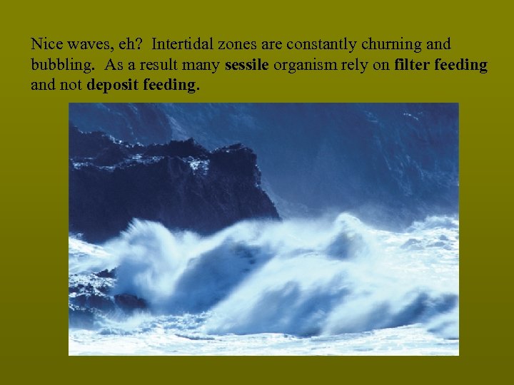 Nice waves, eh? Intertidal zones are constantly churning and bubbling. As a result many