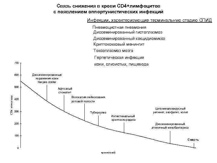 Связь снижения в крови CD 4+лимфоцитов с появлением оппортунистических инфекций Инфекции, характеризующие терминальную стадию