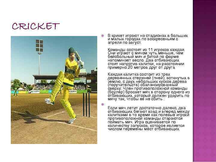 CRICKET В крикет играют на стадионах в больших и малых городах по воскресеньям с