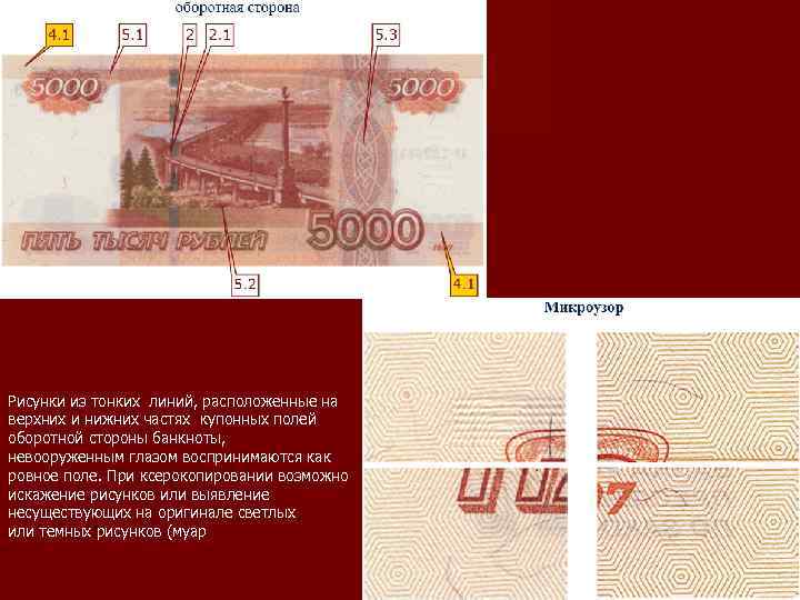 Оборотная сторона купюры. Банкноты банка России образца 1997 года. Образец 5000 купюры 1997 года. 5000 Рублей оборотная сторона. Микроузор на 5000 купюре.
