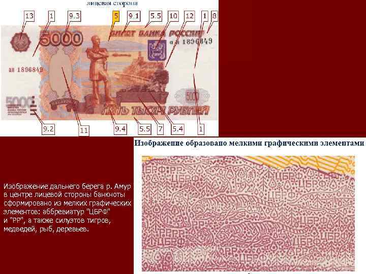 На купюре 5000 рублей изображен город. Мелкие графические элементы на купюре. Мелкие графические элементы на банкнотах. Лицевая сторона купюры 5000. Животные на купюре 5000 рублей.