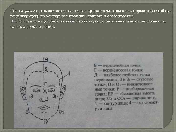 Подробное описание лица