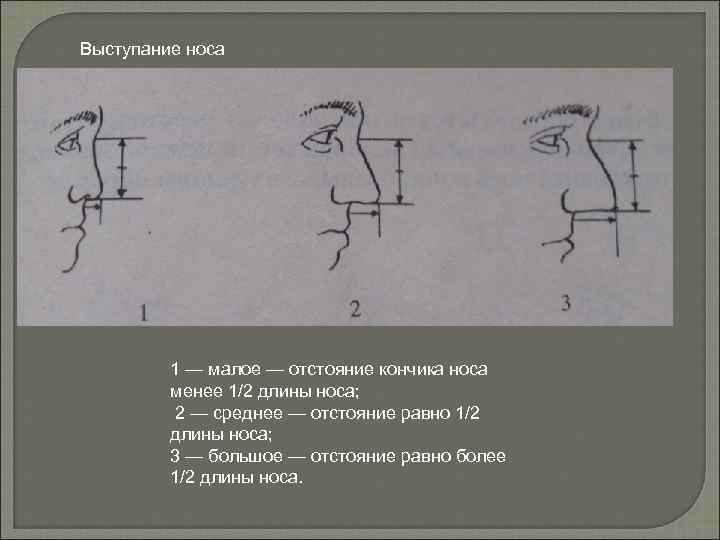 Как измерить длину носа человека схема