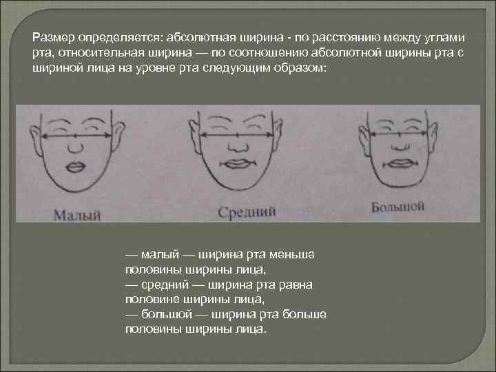 Размер определяется: абсолютная ширина по расстоянию между углами рта, относительная ширина — по соотношению