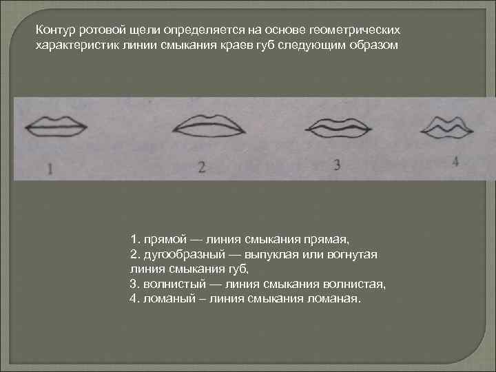 Контур ротовой щели определяется на основе геометрических характеристик линии смыкания краев губ следующим образом