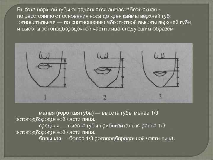 Высота верхней губы определяется анфас: абсолютная по расстоянию от основания носа до края каймы