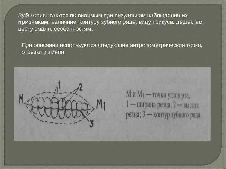 Зубы описываются по видимым при визуальном наблюдении их признакам: величине, контуру зубного ряда, виду