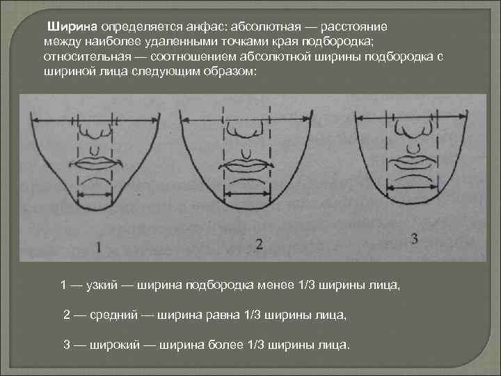 Ширина определяется анфас: абсолютная — расстояние между наиболее удаленными точками края подбородка; относительная —