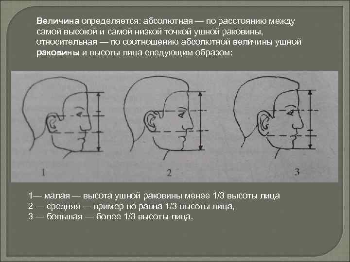 Наглядное изображение внешности человека изготовленное в соответствии с мысленным образом сга