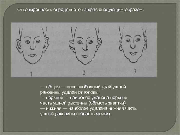 Классификация признаков внешности