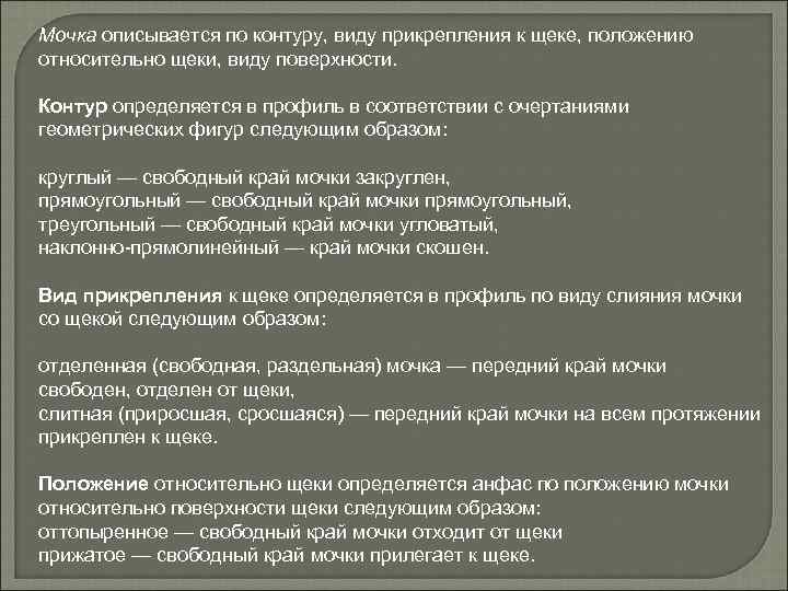 Мочка описывается по контуру, виду прикрепления к щеке, положению относительно щеки, виду поверхности. Контур